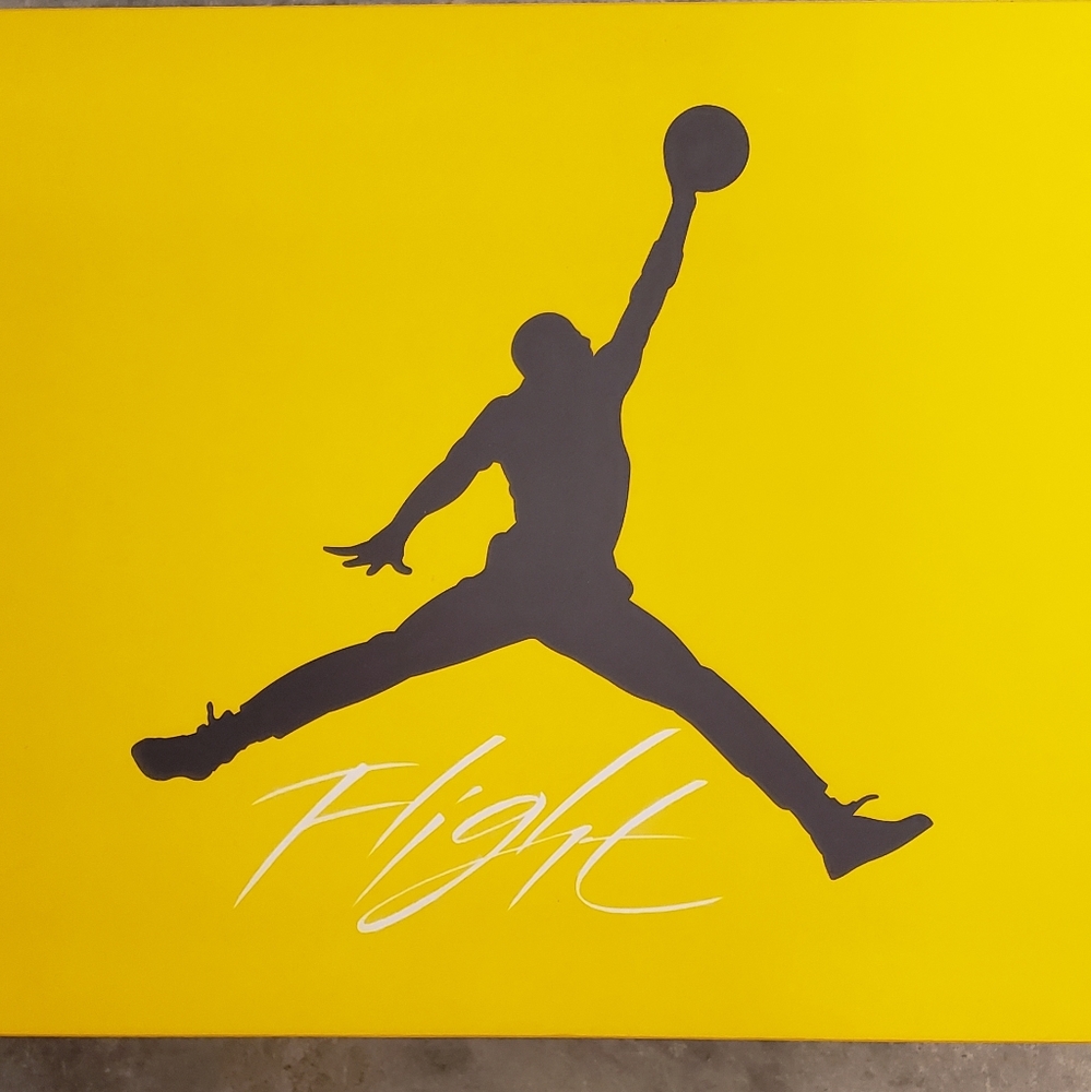 Air Jordan 4 Retro Lighting